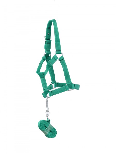 bozal con cabresto de cinta verde
