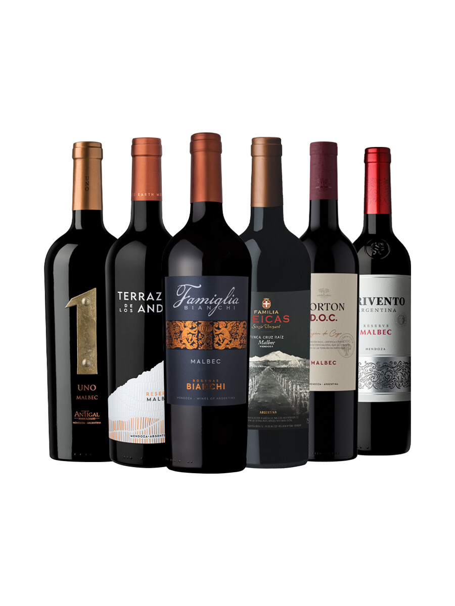 Pack Bacán Selección Coordenada de Altura x6 vinos argentinos Pack Bacán Selección Coordenada de Altura x6 vinos argentinos