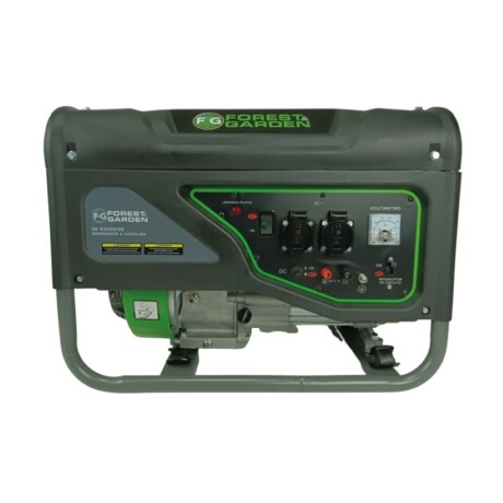 GENERADOR A GASOLINA 001