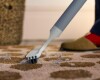 Limpiador de Alfombras Joseph Joseph CleanTech™ 2 en 1 - Preventa Limpiador de Alfombras Joseph Joseph CleanTech™ 2 en 1 - Preventa