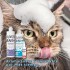KIT ANI+ SHAMPOO ACONDICIONADOR Y COLONIA PARA PERROS Y GATOS KIT ANI+ SHAMPOO ACONDICIONADOR Y COLONIA PARA PERROS Y GATOS