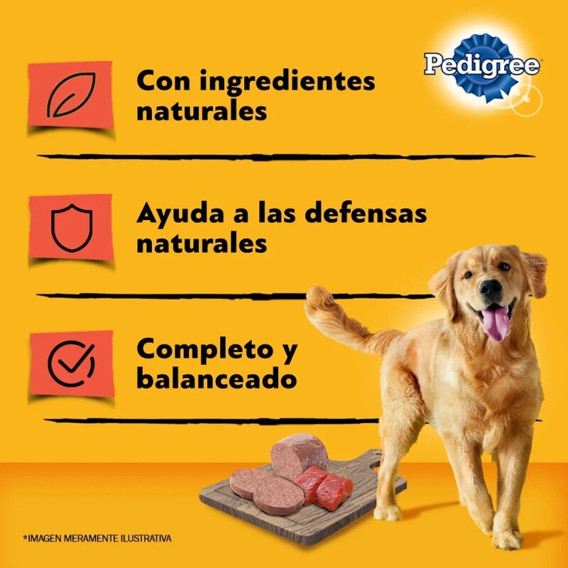 PEDIGREE PATÉ LATA CARNE 340 GRAMOS PEDIGREE PATÉ LATA CARNE 340 GRAMOS