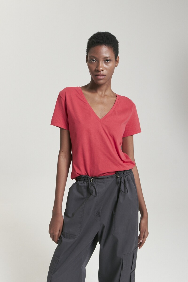 REMERA PASTEUR 