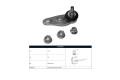 Rotula Del Mini Cooper S (R56)/Clubman Cooper S (R55)/Cooper (R56) 08-15 Der Rotula Del Mini Cooper S (R56)/Clubman Cooper S (R55)/Cooper (R56) 08-15 Der