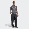 Camiseta Adidas Bayern 24/25 Wiesn Gris