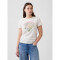 V-INTL SS FAV CREW GRAPHIC CHINO