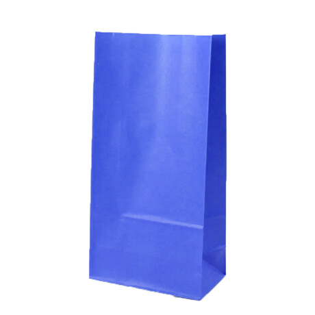 Bolsa Papel x 50 S/Asa Grande Azul