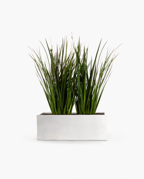 KIT Jardinera "natural" - 80cm* 30cm* 30cm* con dietes y sustrato KIT Jardinera "natural" - 80cm* 30cm* 30cm* con dietes y sustrato