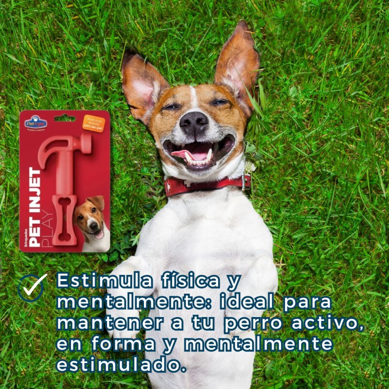 MARTILLO GOMA PET INJET PLAY MARTILLO GOMA PET INJET PLAY