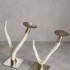 Horn Chandelier 2