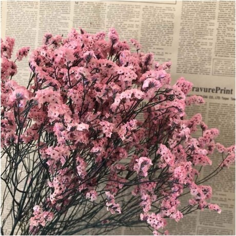 Ramo Frondoso De Flores Secas Rosa Claro