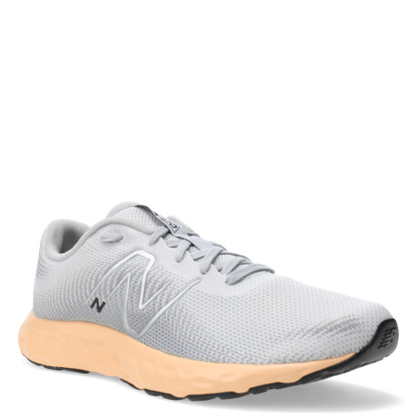 Championes de Mujer New Balance 420 V3 Gris - Anaranjado Salmón