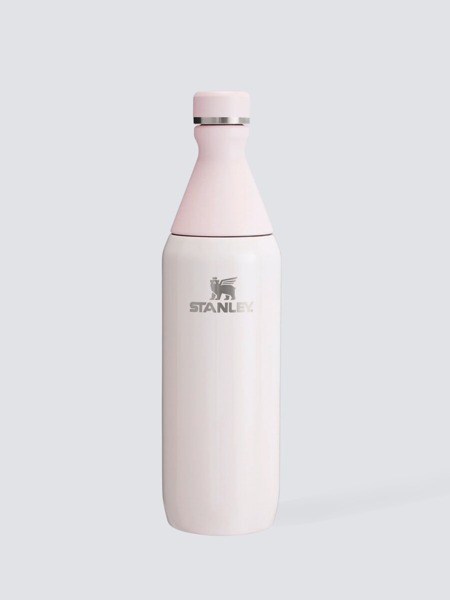Botella Stanley Slim para todo el día 20 oz - Rosa Pálido 