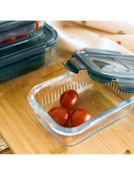 RECIPIENTE RECTANGULAR BOROSILICATO LABRADO 370ML D15.4X11.5XH5.4CM RECIPIENTE RECTANGULAR BOROSILICATO LABRADO 370ML D15.4X11.5XH5.4CM