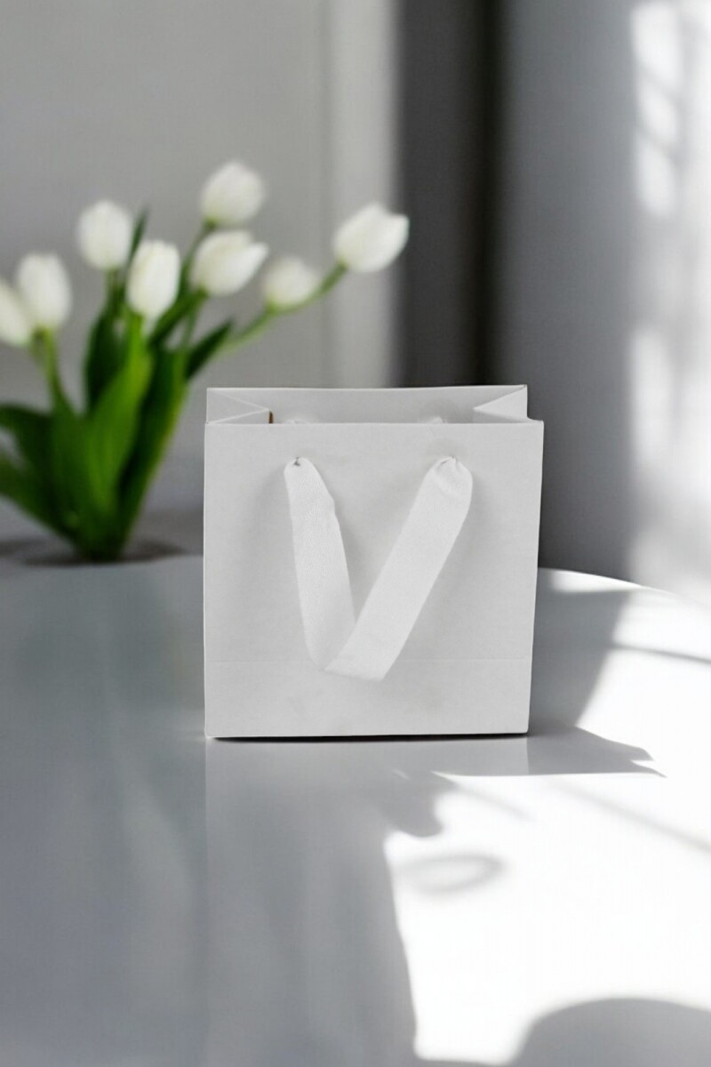 Bolsa cartulina eco 10x05x10 cm - BLANCO 