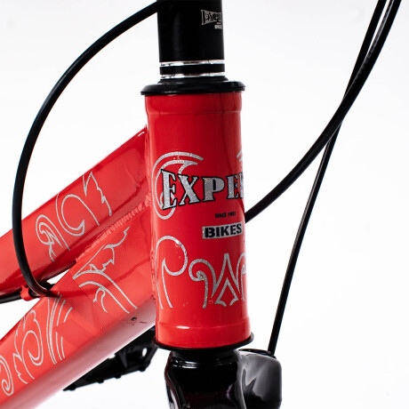 Bicicleta R20 Suspensión, Freno De Disco El Rey Rojo