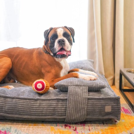 Cama para perro con almohada 80x60 cm Cama para perro con almohada 80x60 cm