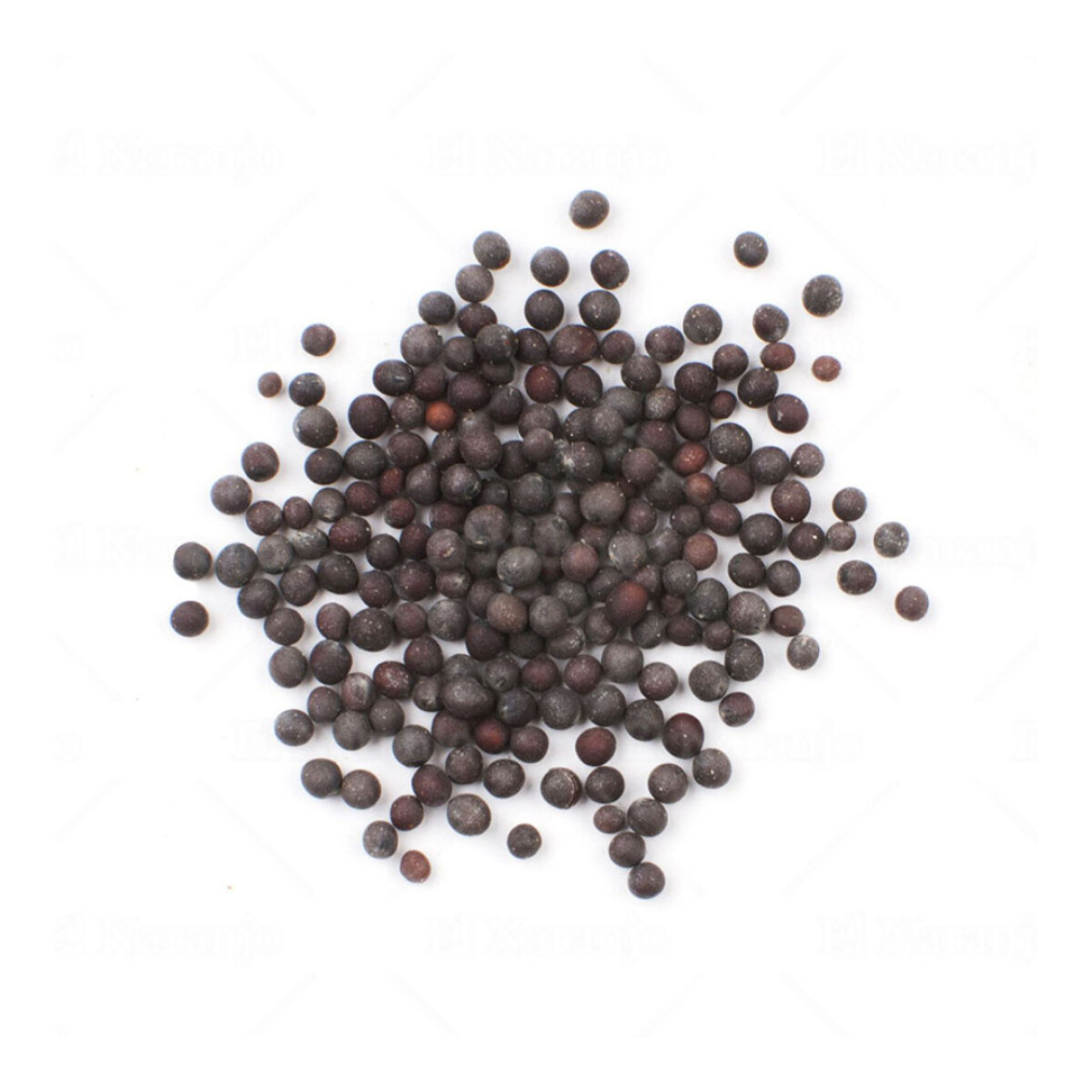 Semillas de Mostaza Negra para Auriculoterapia 8 g 