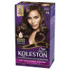 Tinta Koleston Kit Tono 40