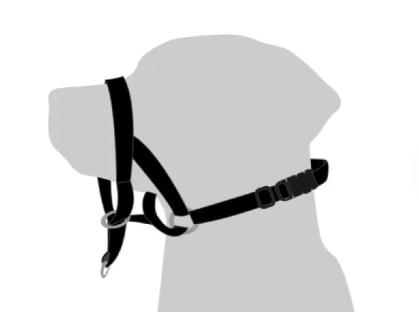 COLLAR EASY LEADER NEGRO M 42-55CM 15MM 