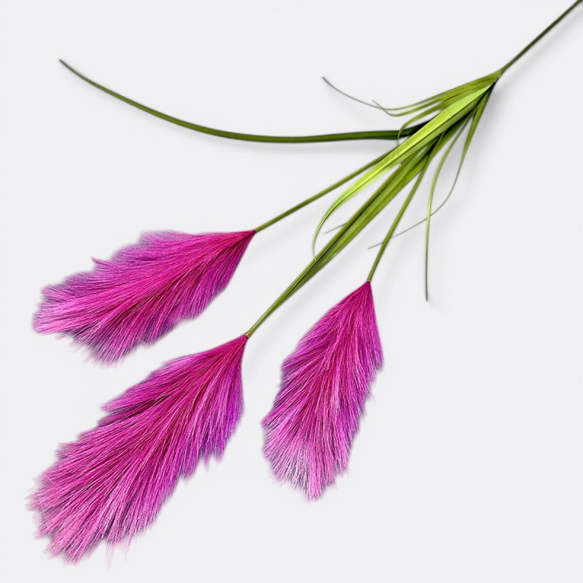 Rama Tres Plumerillos Estepa - Fucsia 