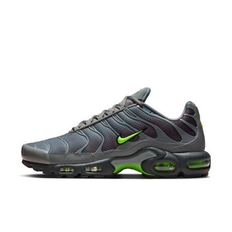 Championes Nike Air Max Plus de Hombre Gris
