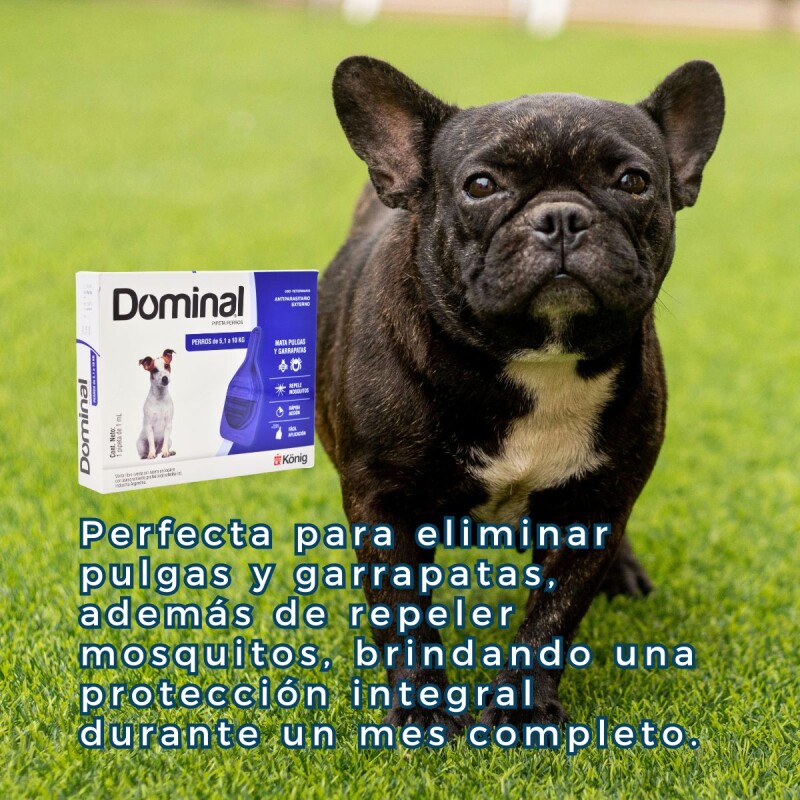 PIPETA ANTIPULGAS Y GARRAPATAS PARA PERROS DOMINAL KONIG DE 5 A 10 KG