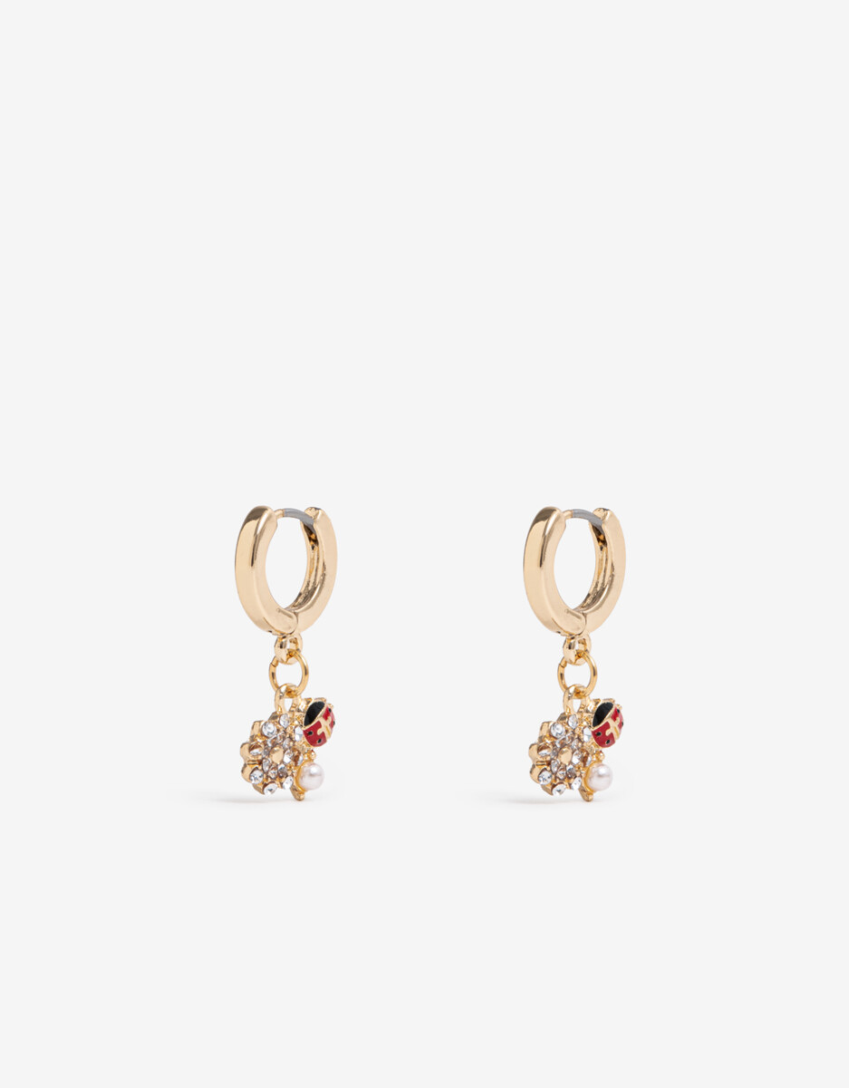 Aros Argollas Lady Bug 
