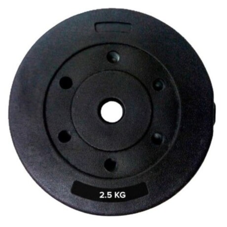 Discos revestidos 2.5 kg con recubrimiento plástico y núcleo de cemento duradero Discos revestidos 2.5 kg con recubrimiento plástico y núcleo de cemento duradero