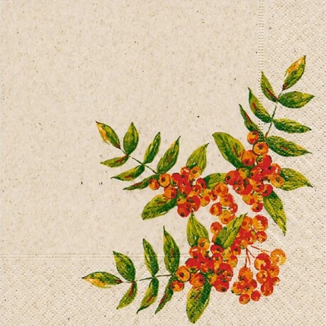 Servilletas Triple Hoja Peper-Desing x20 Diseño 10