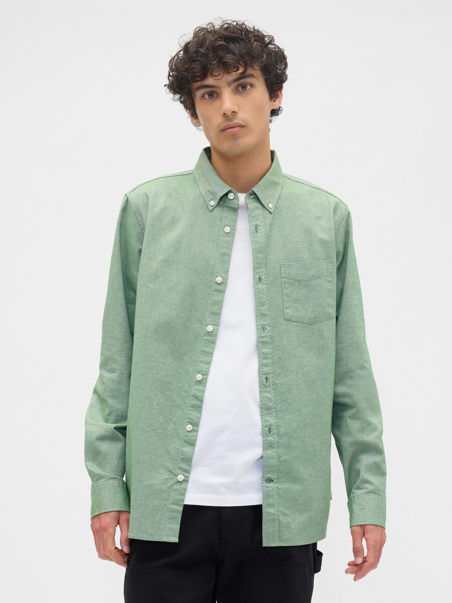 V-LS STANDARD OXFORD - SARATOGA GREEN 