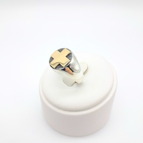 Anillo de plata 925 y oro 10 ktes, AUXILIAR DE ENFERMERÍA. Anillo de plata 925 y oro 10 ktes, AUXILIAR DE ENFERMERÍA.