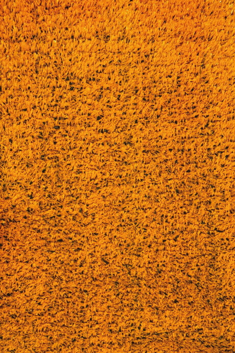 FIT GRASS 12MM CESPED SINTETICO FIT GRASS NARANJA 12MM ANCHO 2M