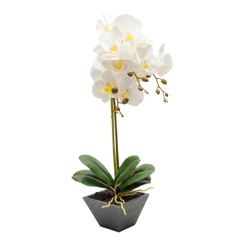 ORQUIDEA BCO C/MACETERO 11.5X11.5X42CM Unica