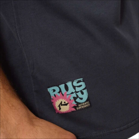 Remera Rusty Alorin Gris