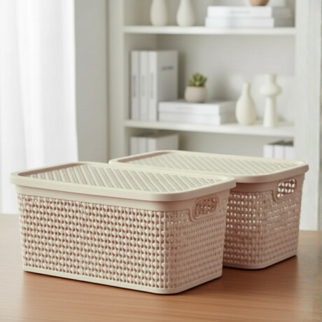Set x2 Caja simil ratán 4 lts BEIGE
