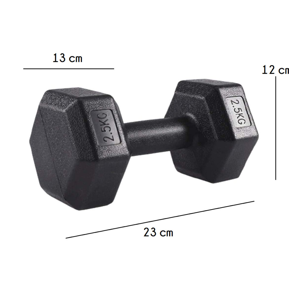 Mancuerna 2,5KG Revestida en Pvc Mancuerna 2,5KG Revestida en Pvc