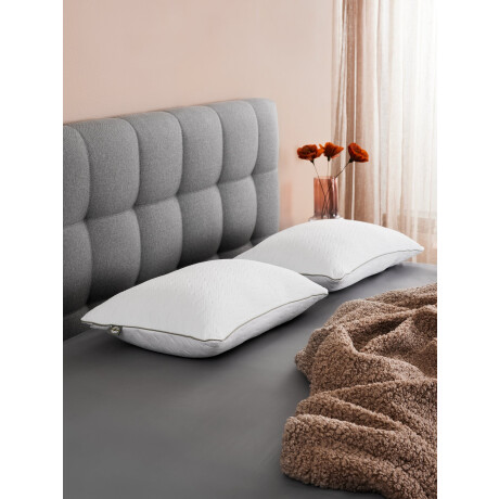 Almohada Espuma Visco 42X65X15 Wellpur Strokken