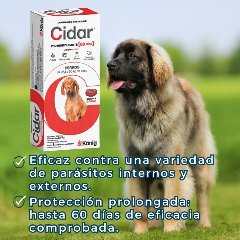CIDAR PERROS PASTILLA ANTIPULGAS Y ANTIGARRAPATAS KONIG 25.1 A 50 KG