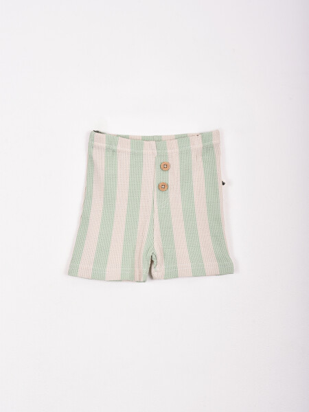 SET 3 PIEZAS BODY Y SHORT VERDE CLARO