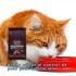 GRAN PLUS GOURMET GATO ADULTO CASTRADO CORDERO 10 KILOS