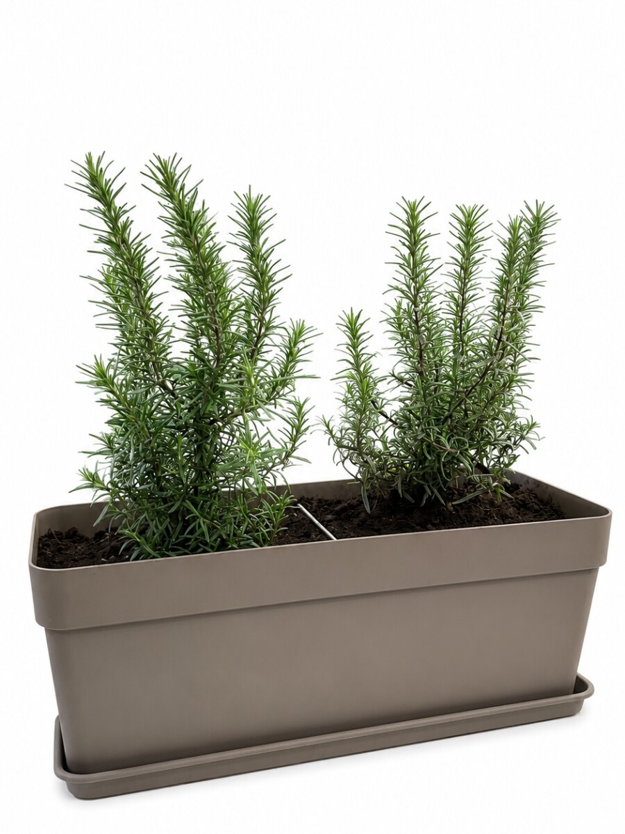 JARDINERA CON ROMEROS TAUPE