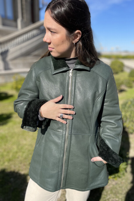 Borrego cata Verde