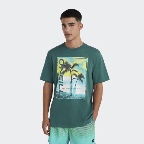 Remera O Neill Mix & Match Palm Verde