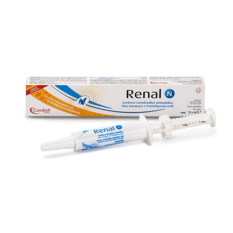 Renal N Pasta - 15mL Renal N Pasta - 15mL