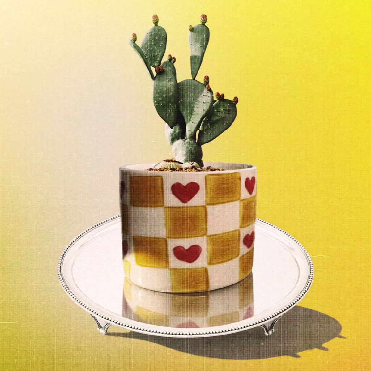 Maceta de cerámica Corazones 