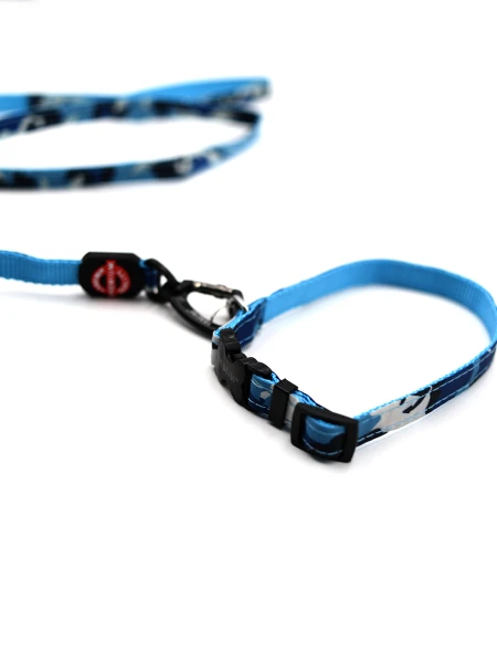 CORREA Y COLLAR SET AZUL