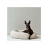 Cama Colchon Perro Gato Grande Redondo Puff Comodo 60 Cm Variante Color Blanco