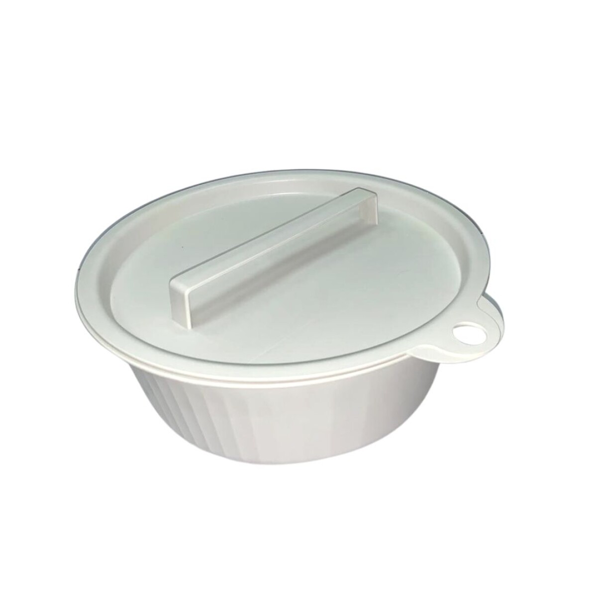 BOWL PLASTICO CON TAPA 30,5X30,5X10,5CM 