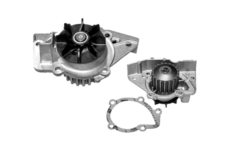 Bomba Agua s/Carcaza Citroen Xantia/Jumpy/Xm/Zx/Xsara Break/Xsara/Jumper/Berlingo Fiat Ducato Peug 605/Boxer/405/406/205/306/P Bomba Agua s/Carcaza Citroen Xantia/Jumpy/Xm/Zx/Xsara Break/Xsara/Jumper/Berlingo Fiat Ducato Peug 605/Boxer/405/406/205/306/P